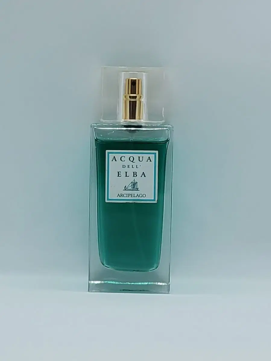 아쿠아델엘바 알키펠라고 100ml EDP 향수